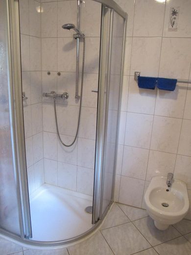 Sonniges Haus, 3 kpl. Wohnungen, Alleinlage, unverbaubarer Fernblick, Urlaubsregion Sonnenwald – Dusche neu installiert