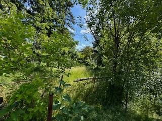 altes Forsthaus, Nebengebäude, 7600qm Grundstück, teilbar in 4 Baugrundstücke einzeln erwerbar – Foto 22