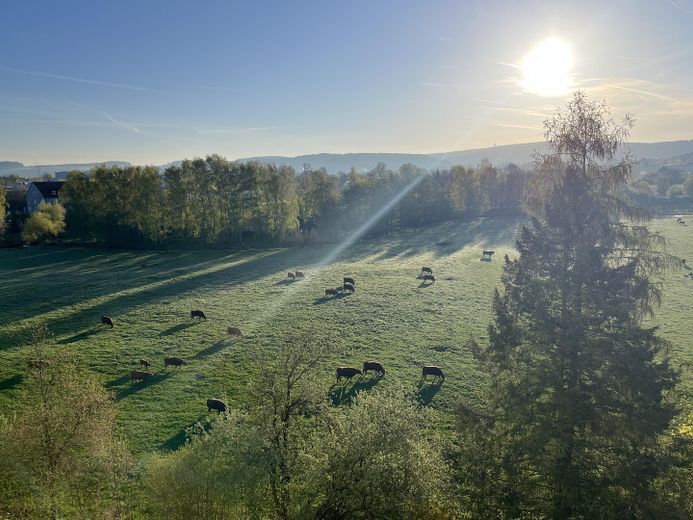 Renovierte 2.5 Zimmer Wohnung mit Balkon im Zentrum von Weiden – Aussicht