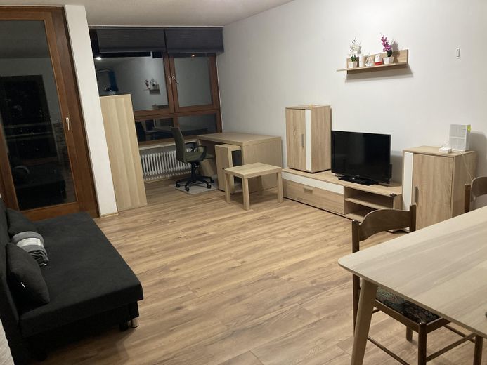 Zentrale, voll möblierte 2-Zi-Wohnung Küche Bad Balkon Internet – Living Room / Wohnzi.
