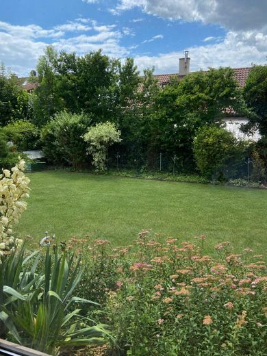 Ben curato appartamento di 3 locali al piano terra con veranda e ampio giardino – Foto 12