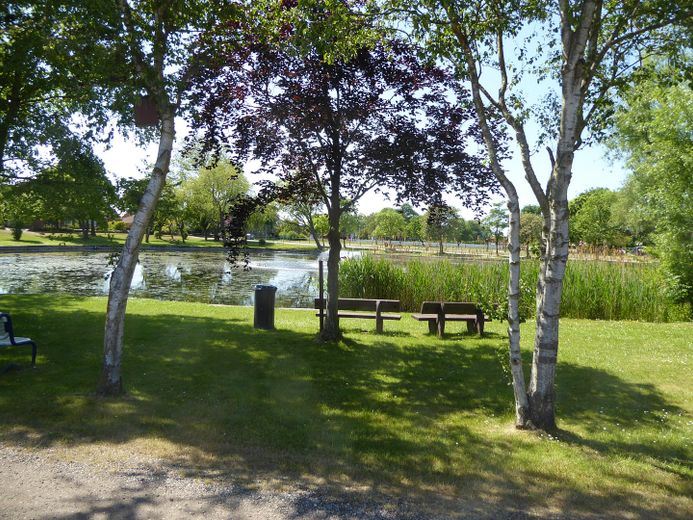 Blick auf den Dorfteich!