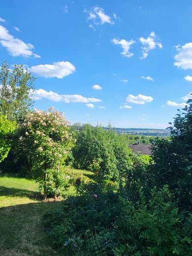 Freistehendes Einfamilienhaus in ruhiger Südhanglage mit weitem Blick über das Vilstal – Garten