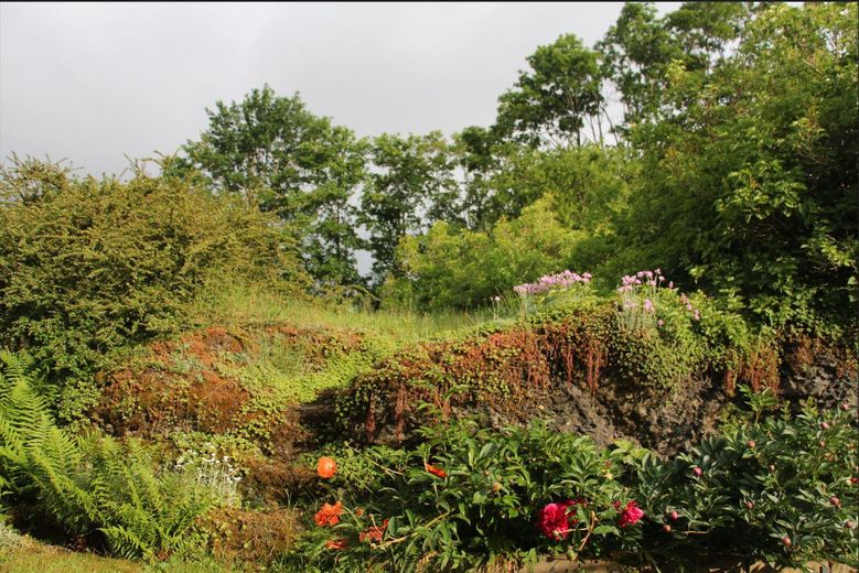 Idyllisch Wohnen - freier Blick ins Grüne und viel Raum für Gestaltung und Freizeit – Garten im Frühsommer