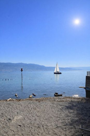 Penthouse Wohnung mit einmaliger Dachterasse und Seeblick ! – Seezugang um die Ecke