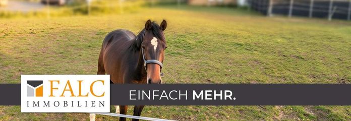 Grundstück