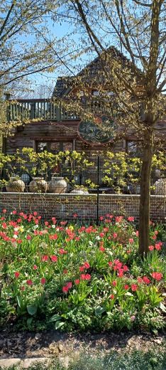 Blick von der Straße