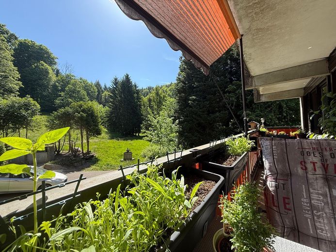 Inwestycja kapitałowa – apartament wakacyjny / inwestycja Airbnb w Sasbachwalden – Foto 1