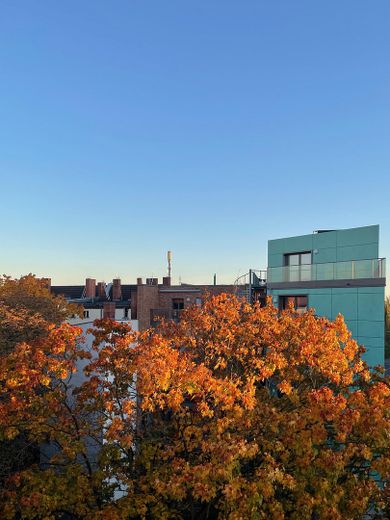 senza commissioni, appartamento di 3 locali ai margini di Berlino, posizione da sogno, terrazze soleggiate – Blick aus dem Badfenster
