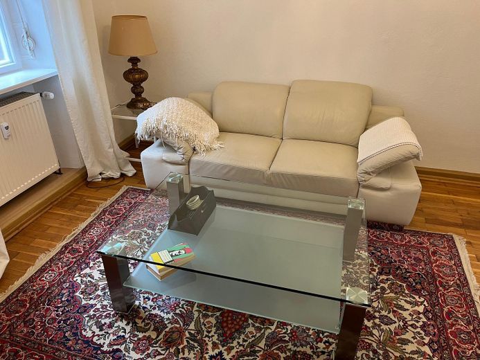 Top 3-room apartment near the castle – Wohnzimmer