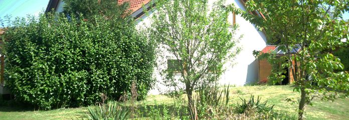 Seitenansicht