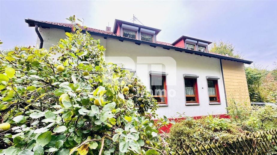 Modernisiertes Einfamilienhaus auf riesigem Grundstück mit Carport und Nebengebäude – Frontansicht Titel