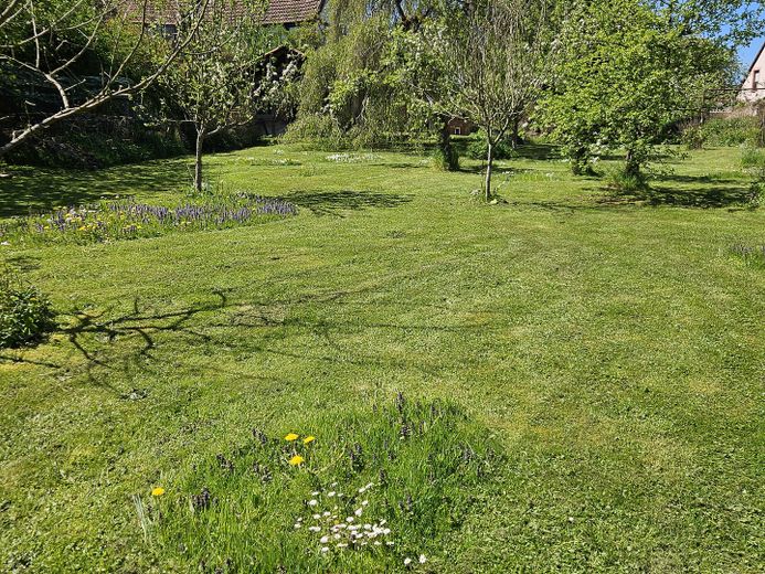 Bezienswaardig huis met groot perceel in Niedermohr (regio KL, HOM, PS, KUS) – Foto 26