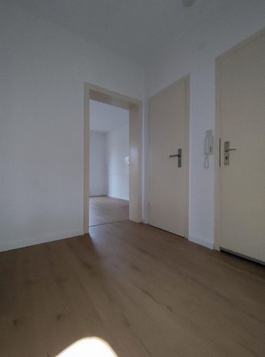 Appartamento ristrutturato di 2,5 locali con balcone e uso del giardino – Diele