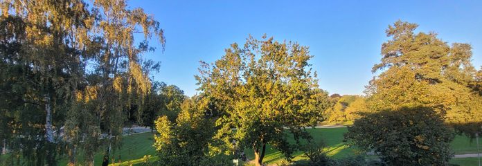 Blick in den Park