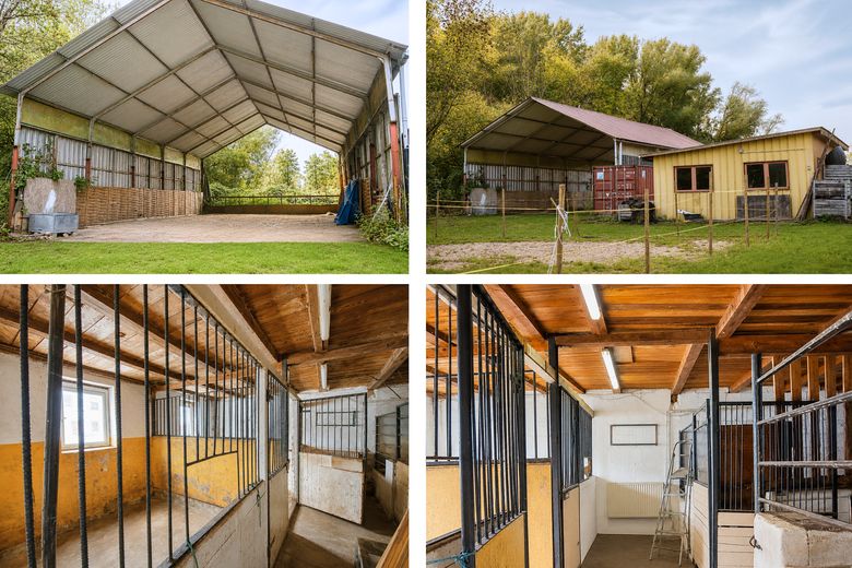 Einzigartiger Resthof / Schwinger Yachthafen / 3 Wohneinheiten, Reitanlage & Pferdestall / Stade – Reithalle und Reitstall