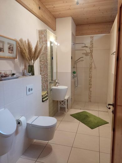 Lichtdurchflutete, energieeffiziente Villa aus Holz, Glas und Stein – Bad im Erdgeschoß