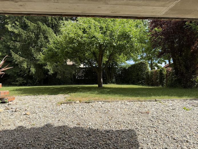 Zentrumsnah: Wohnhaus mit Galerie/Atelier, Einlieger-App.  & traumh. Naturgarten (834 qm) – Aussicht Atelier Fenster KG