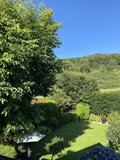 Blick vom Balkon in den Garten