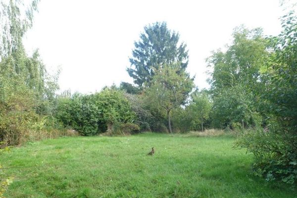 Ruhe und Natur vor den Toren Dresdens