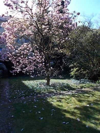 RESERVIERT  Schäfersee-Nähe! Bezugsfrei, lebendig – Garten mit Magnolie