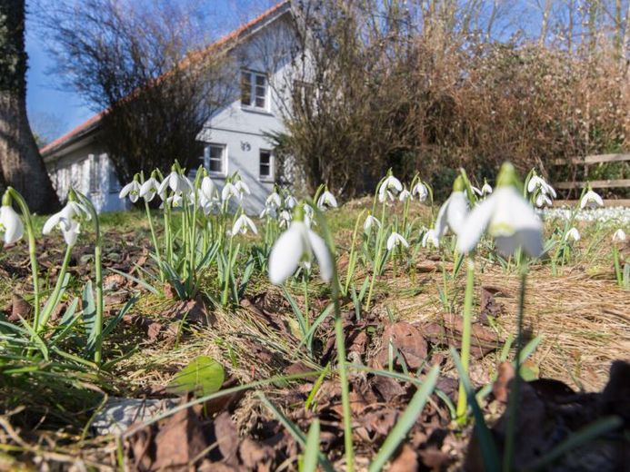 Zweifamilienhaus mit großem Garten in ruhiger Lage – Foto 1