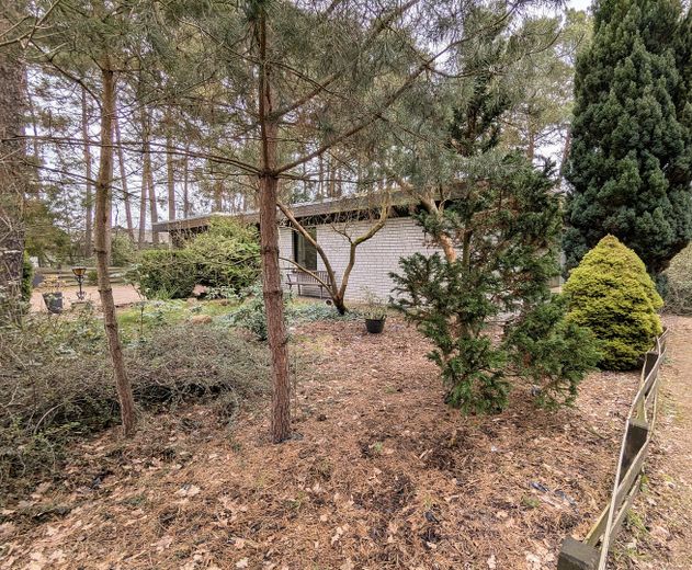 Bungalow adatto alle famiglie, vicino al centro e ben collegato – Seitenansicht