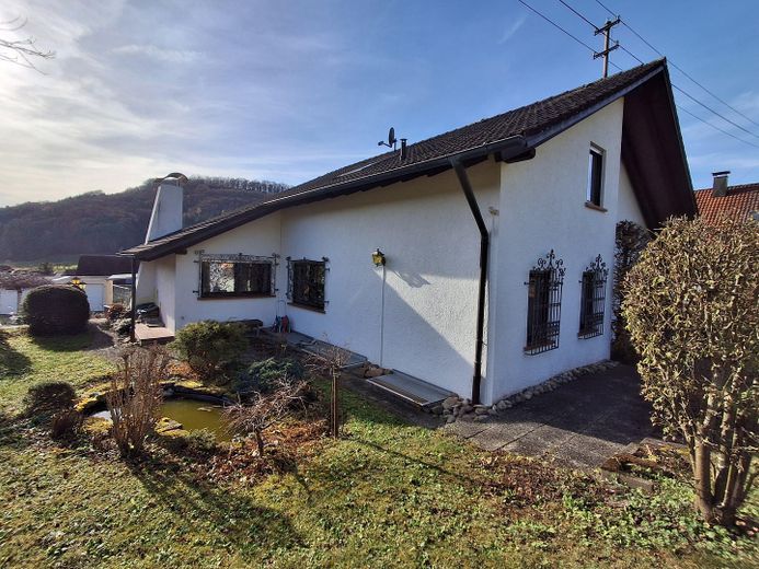 Hausansicht mit Teich