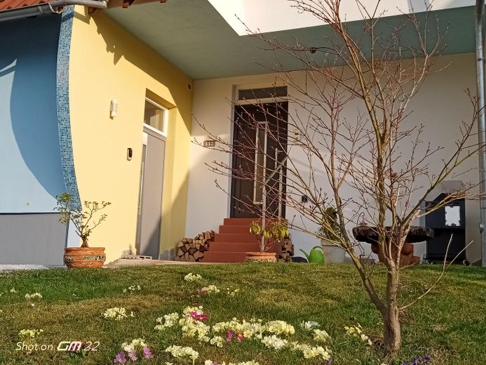 freistehendes Einfamilienhaus mit Einliegerwohnung, saniert und voll möbliert – Eingänge zu App. und Haus