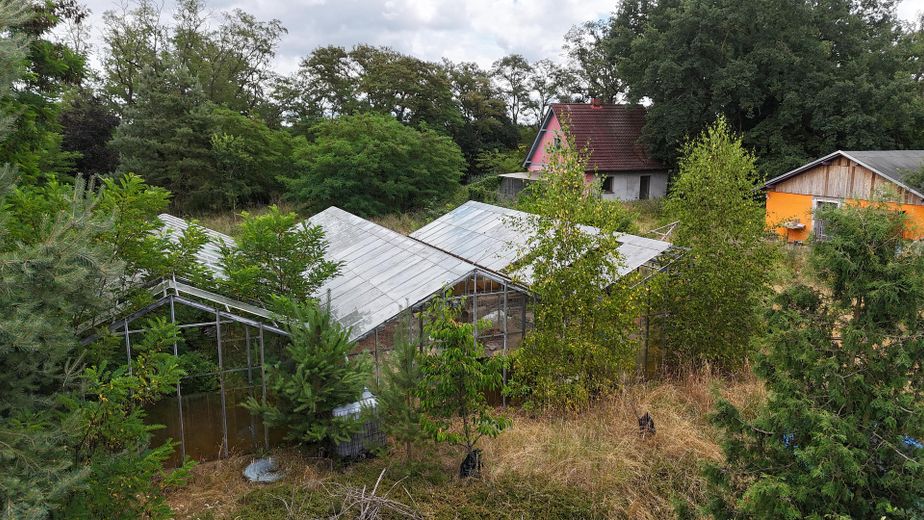 Ehemalige Gärtnerei mit Wohnhaus am Waldrand in Dessau-Kochstedt – Außenansicht 