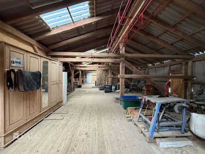 ***Mehrfamilienhaus &amp; Exklusiver Pferdehof mit Reitanlage auf ca 21.000 m² Grundstück*** – Dachboden