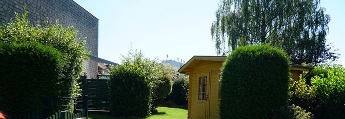Blick in den Garten 1