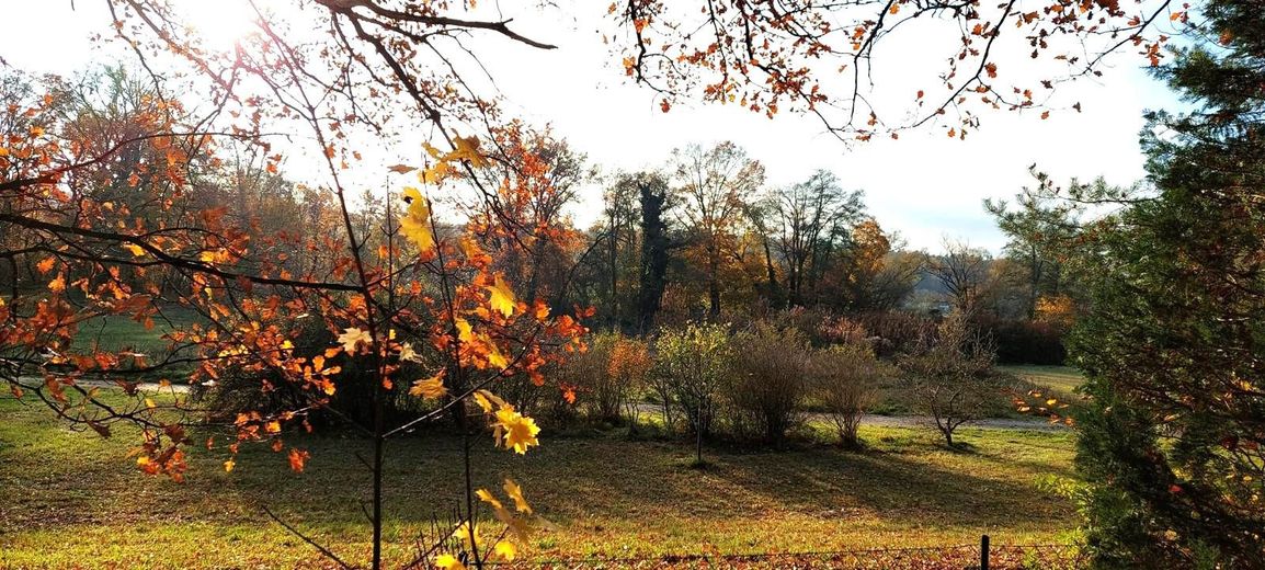 Blick vom Grundstück 