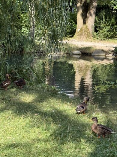 Stadtpark wenige Gehminuten