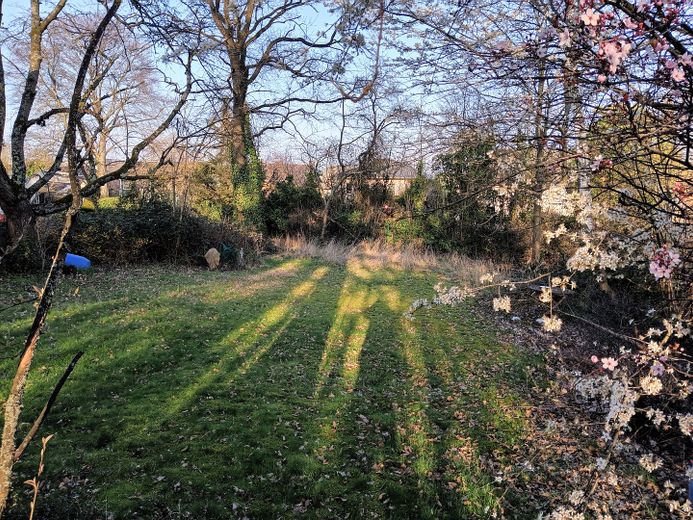Provisionsfrei:schönes,großes Grundstück mit EFH in TOP-Lage für langfristig planende Interessenten! – Foto 3