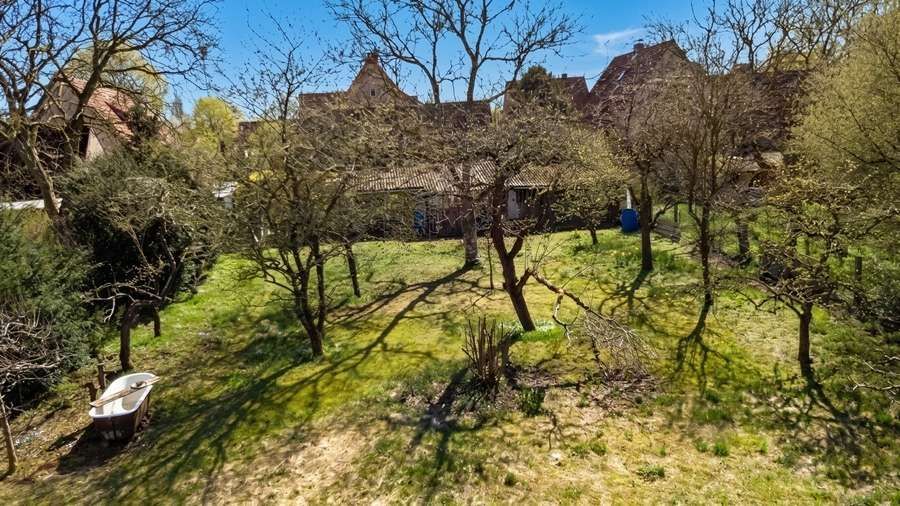 Eldingen - Verborgene Perle: Einfamilienhaus + Garten + Obstbäume - wer erweckt mich zu neuem Leben – Gartenansicht - Vogelperspektive