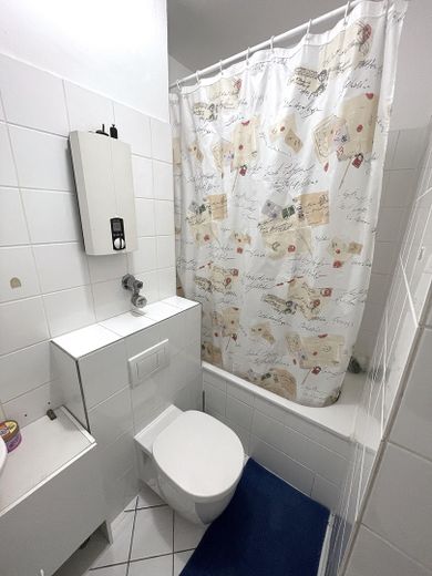 Neuer Spülkasten und WC