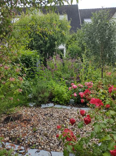 Mein's wird Dein's – Einziehen und wohlfühlen! – Blick vom Garten aus aufs Haus