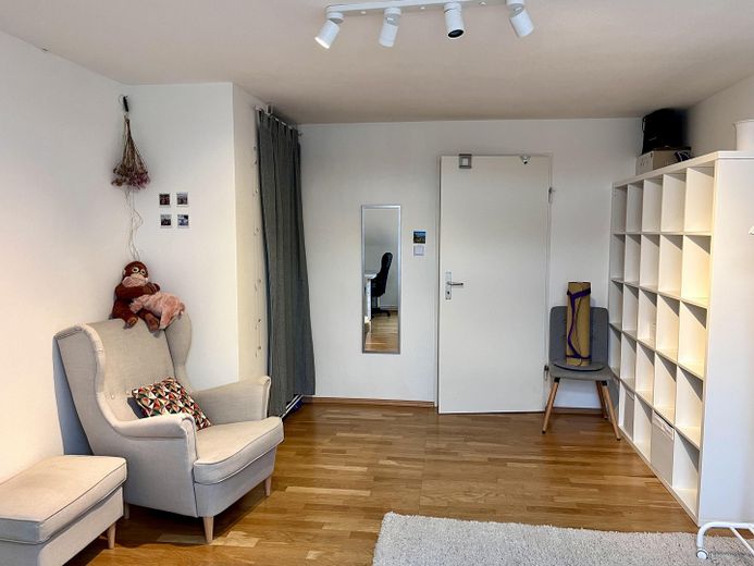 2-Zimmer-Dachgeschosswohnung mit Garten im Gallusviertel – Wohnzimmer