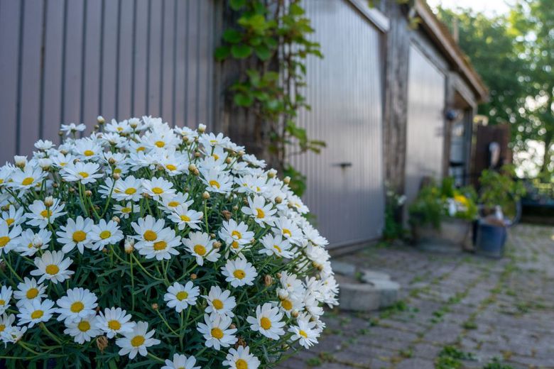 Historisches Landhaus in nahezu einzigartiger Alleinlage 
8.763 m² Grundstück | Energieklasse A – Blühende Hofanlage