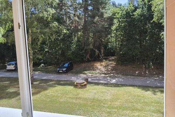 posizione eccellente ai margini del bosco, luminoso appartamento di 3 locali