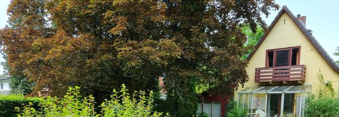 Blick vom Fahrweg aufs Haus