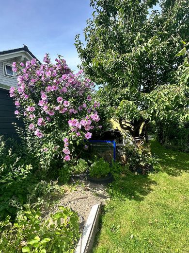 Ruhiges, sonniges & energieeffizientes Einfamilienhaus direkt „hinter’m Deich“ nahe Büsum – Gepflegter Garten