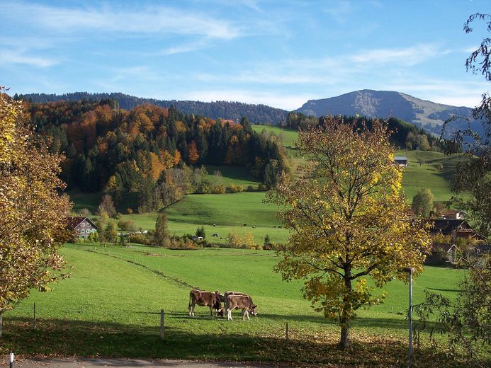 Privatverkauf EFH in Oberstaufen-Weißach, – Herbst-Blick vom Südbalkon