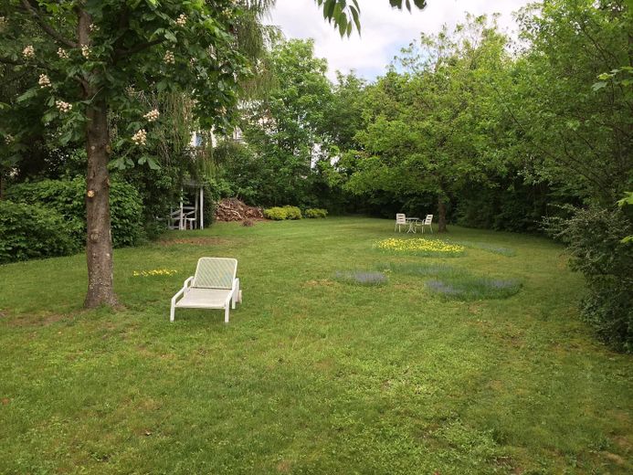 Garten/Baugrundstück