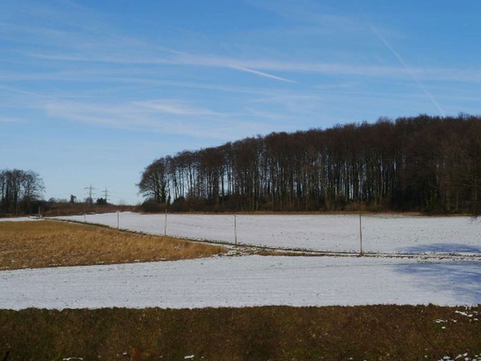 Aussicht im Winter - Norden