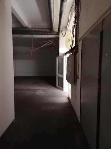 Lager- oder Werkstattfläche mit Rolltor – Foto 8