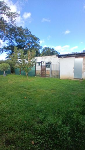 Garten hinten