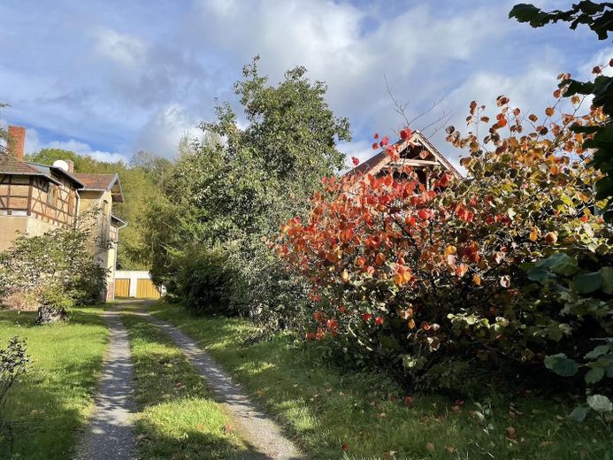 Idyllische Villa/Mehrfamilienhaus in grünem Erholungsort (Harz) - mit Ausbau-/Investmentpotential – Weg zur Villa mit Garagen