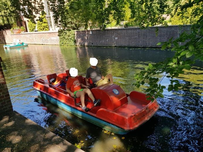 Das Wasser plätschert  vor der Tür  -  Enten, Schwäne schwimmen im Goldbekkanal - Wasserblick! – Foto 12